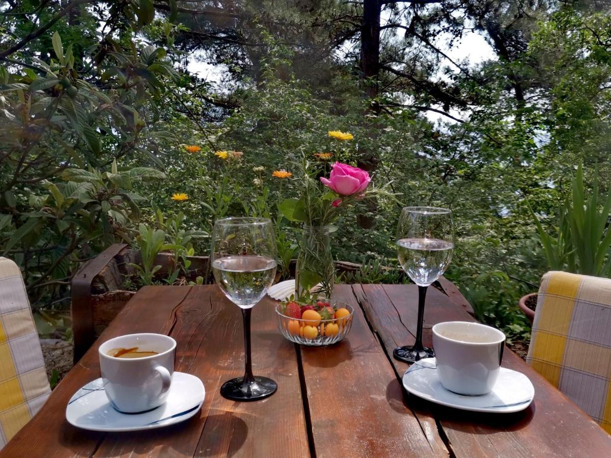 Apartments Sandra لوفغان المظهر الخارجي الصورة